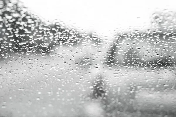 Car window in the rain. View on the road. Black and white color