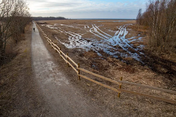 古い道路のある湿地 ロイヤリティフリーのストック写真