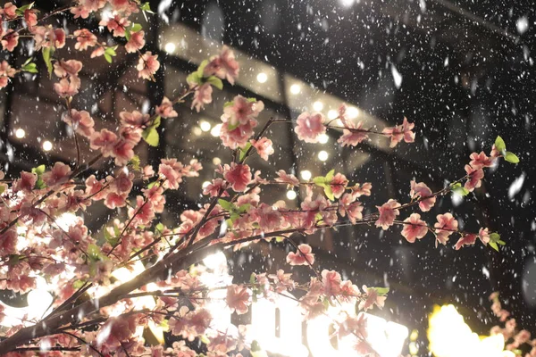 一些粉红色的模拟樱花树枝下的屋檐和雪落在一个晚上 — 图库照片