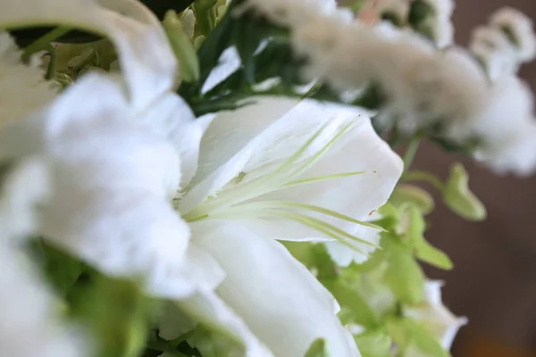 White lily bouquet in a side view — Stock Photo, Image