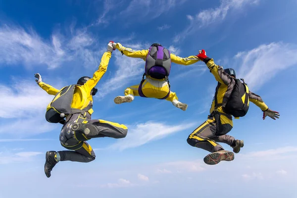 Paraşütçü Serbest Düşüşte Bir Figür Oluşturuyor Ekstrem Spor Konsepti — Stok fotoğraf