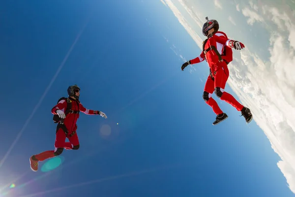 两个跳伞运动员在自由落体中形成了一个人形 极端体育概念 免版税图库图片