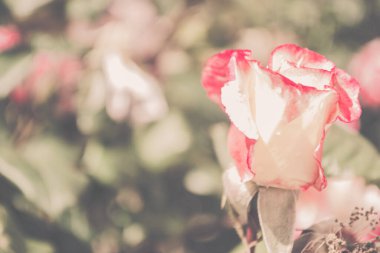 Soyut arkaplan, dikişli eski tuğla işi duvar