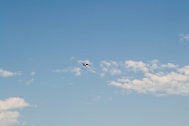 Güzel mavi gökyüzü, az bulutlu güneşli bir günde
