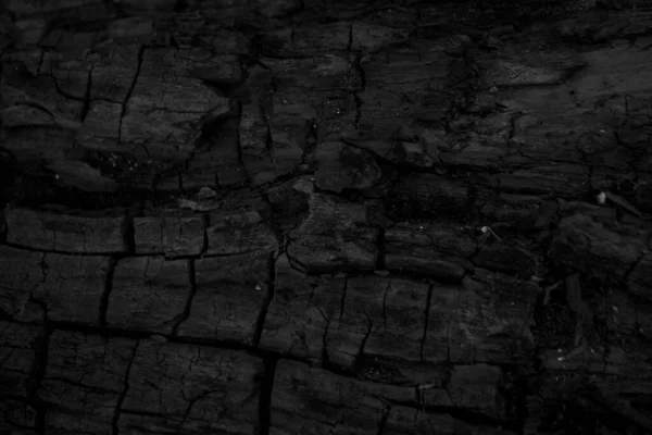 Абстрактний Гранжевий Фон Старе Вугілля Темно Чорна Обпалена Текстура Деревини — стокове фото
