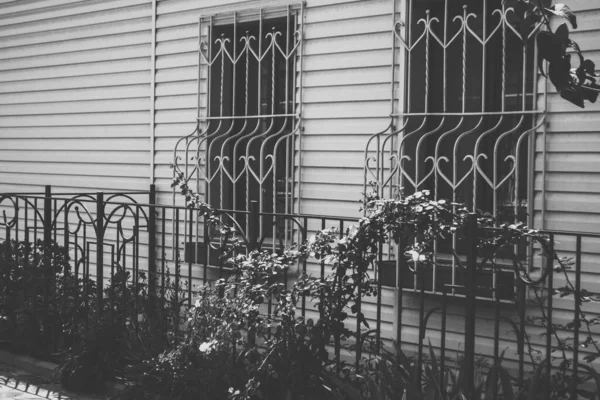 小さな家の外観のファサード バー付きの窓と植物を登るフェンス 着色された黒と白のアート写真 — ストック写真