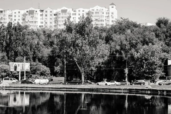 Τοπίο Στο Πάρκο Ξερά Καλάμια Κοντά Στο Νερό Δέντρα Και — Φωτογραφία Αρχείου