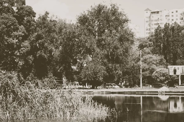 Krajina Parku Suché Rákosí Vody Stromy Auta Velký Dům Nebe — Stock fotografie