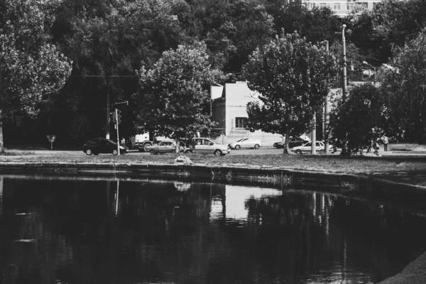 公園内の風景 小さな池 木や車で道路 黒と白の単色で着色されたアート写真 — ストック写真