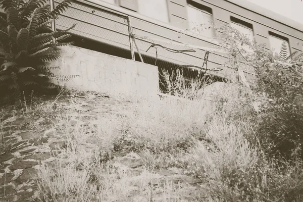 Tek renkli siyah beyaz bir fotoğraf. Köprüden geçen bir trenin.