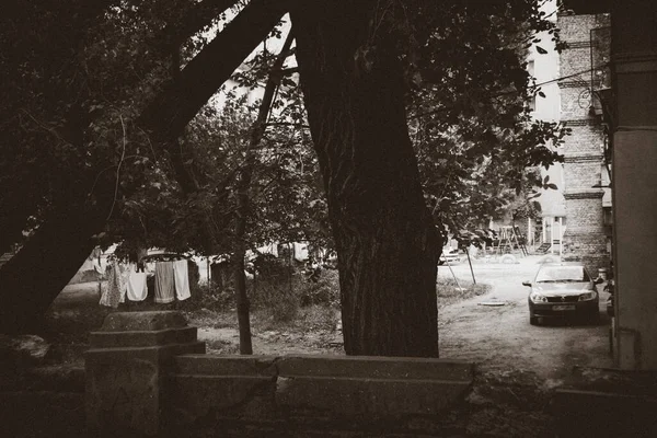 Black White Monochrome Photo Courtyard Shade Foliage Large Trees Linen — Stock Photo, Image