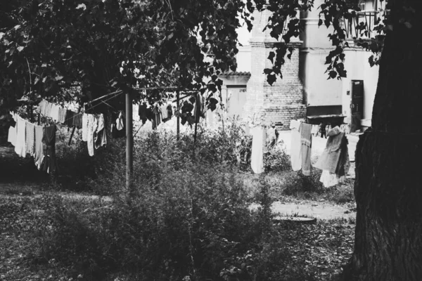 黑白单色照片 大树荫下的庭院 用于烘干的亚麻布 — 图库照片