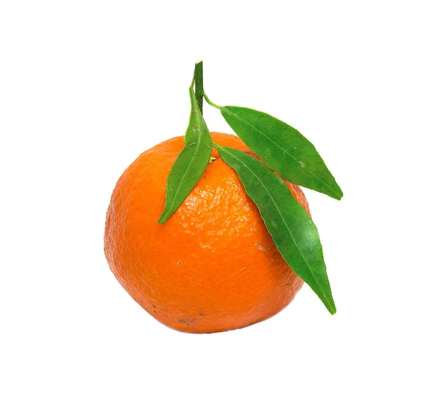 Eine Reife Unregelmäßige Orangefarbene Mandarine Mit Flecken Und Grünen Blättern — Stockfoto