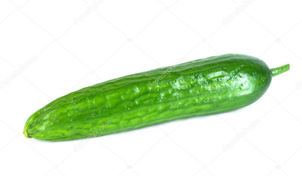 One bright green smooth-skinned cucumber with tail isolated on white background