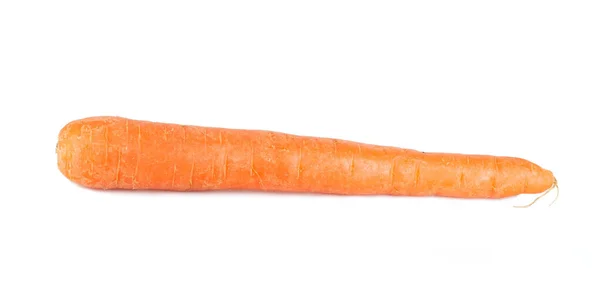 One Orange Raw Washed Carrot Isolated White Background — Stock Photo, Image