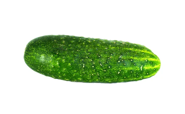 Beyaz Arka Planda Izole Edilmiş Parlak Yeşil Bir Salatalık — Stok fotoğraf