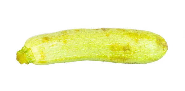 Una Calabaza Verde Brillante Aislada Sobre Fondo Blanco —  Fotos de Stock