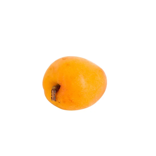 Satu Aprikot Oranye Matang Diisolasi Pada Latar Belakang Putih — Stok Foto