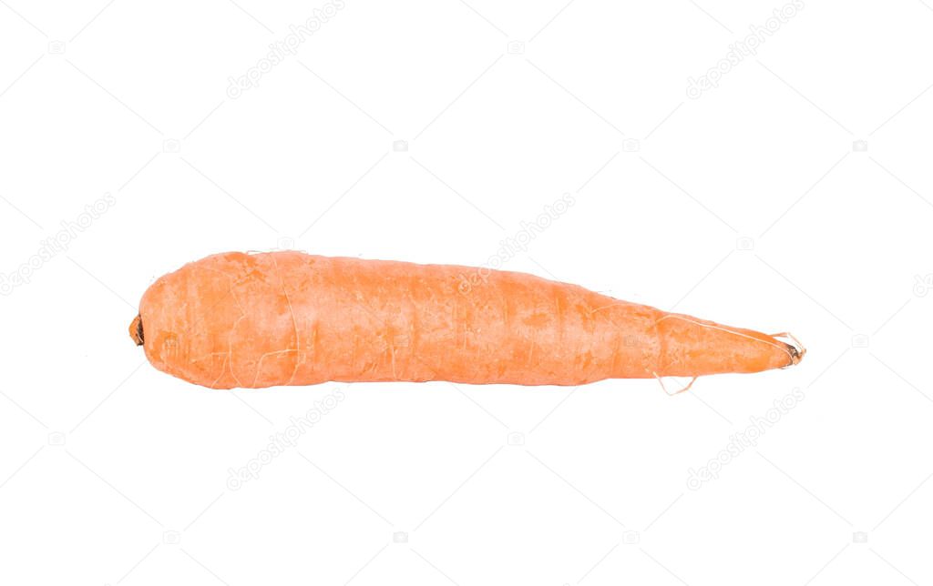 One orange raw washed carrot isolated on white background