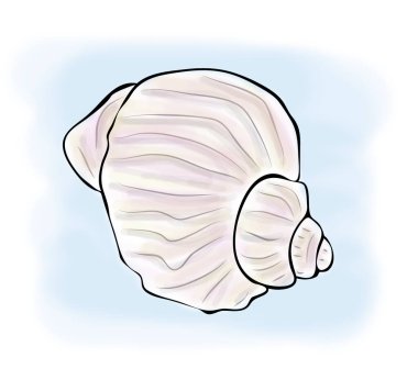 Dijital illüstrasyon, mavi arka planda boş deniz salyangozu kabuğu çizimi, el çizimi taslak çizimi.