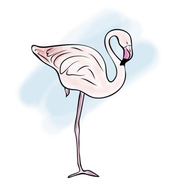 Dijital illüstrasyon, mavi arkaplanda pembe flamingonun renkli çizimi, el çizimi taslağı.