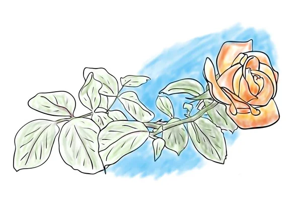 Illustrazione Digitale Disegno Colori Rosa Arancio Fiore Sfondo Blu Disegno — Foto Stock