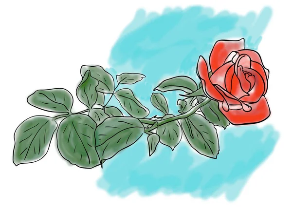 デジタルイラスト 青の背景に赤いバラの花の色のスケッチ アウトライン手描き — ストック写真