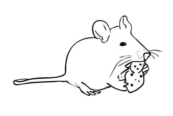 Vector Illustratie Geïsoleerde Rat Eten Van Een Stuk Kaas Zwart — Stockvector