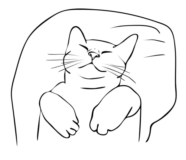 Vektorová Ilustrace Osamělá Šťastná Kočka Leží Polštáři Černobílých Barvách Obrys — Stockový vektor
