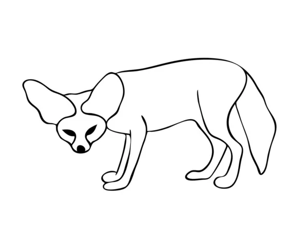 矢量插图 孤立的狐狸在黑白的颜色 轮廓手绘绘图 — 图库矢量图片