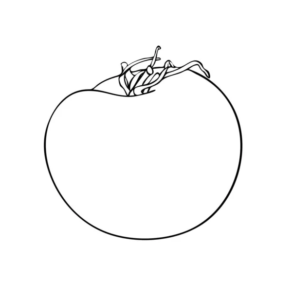Vektor Illustration Isolerad Tomat Frukt Med Svans Svart Och Vitt — Stock vektor