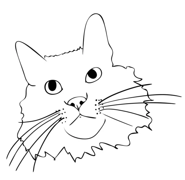 Illustration Vectorielle Muselière Isolée Pour Chat Noir Blanc Dessin Peint — Image vectorielle