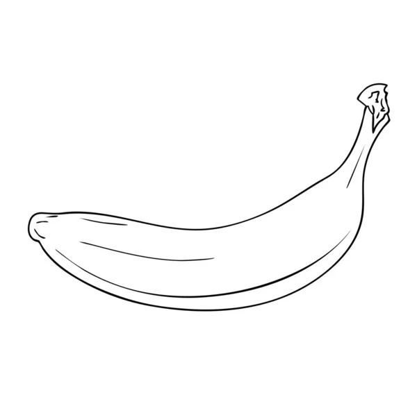 Vector Illustratie Geïsoleerde Banaan Fruit Zwart Wit Kleuren Schets Originele — Stockvector