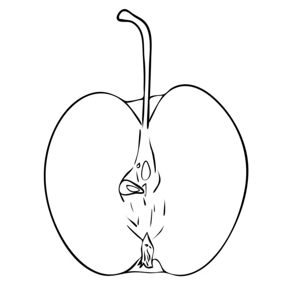 Ilustracja Wektora Odizolowana Połowa Owocu Jabłka Ogonem Czarno Białych Kolorach — Wektor stockowy