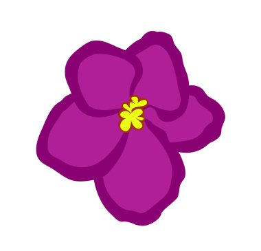 Vektör illüstrasyonu, düz pembe Saintpaulia çiçeği beyaz arka planda izole