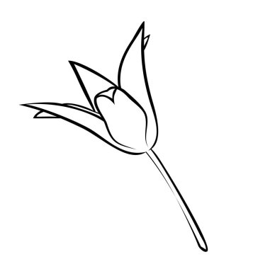 Vektör illüstrasyonu, lale çiçeği siyah beyaz renkler