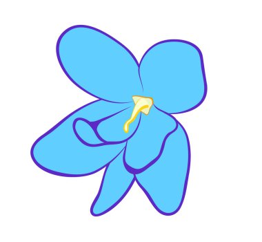 Vektör illüstrasyon, düz çizgi film mavi menekşe saintpaulia çiçeği beyaz arkaplanda izole