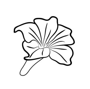 Vektör illüstrasyonu, siyah ve beyaz renkli izole çiçek, ana hatlı el çizimi