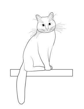 Vektör illüstrasyonu, izole edilmiş siyah beyaz evcil kedi, ana hatlarıyla el çizimi.