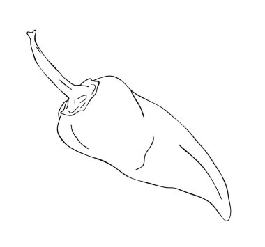 Vektör illüstrasyonu, siyah ve beyaz renklerde izole edilmiş biber, ana hatlarıyla el çizimi.