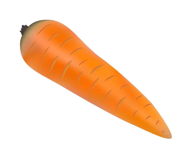 Векторная Иллюстрация Одна Вымытая Оранжевая Реалистичная Морковь Белом Фоне — стоковый вектор