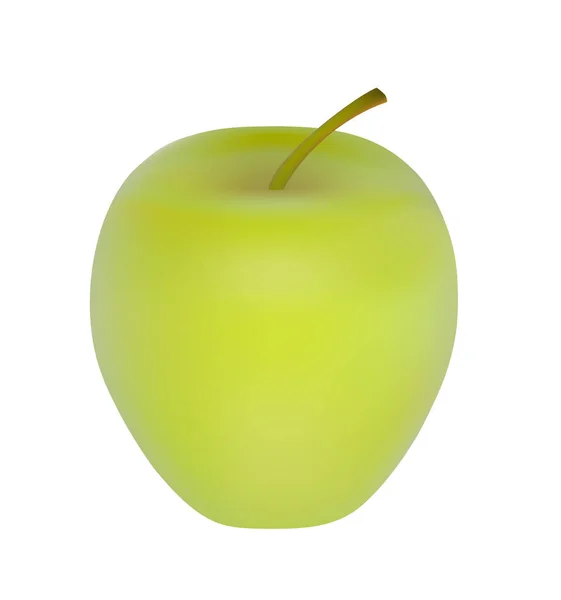 Ilustracja Wektor Jeden Cały Dojrzały Zielony Realistyczne Jabłko Ogonem Izolowane — Wektor stockowy