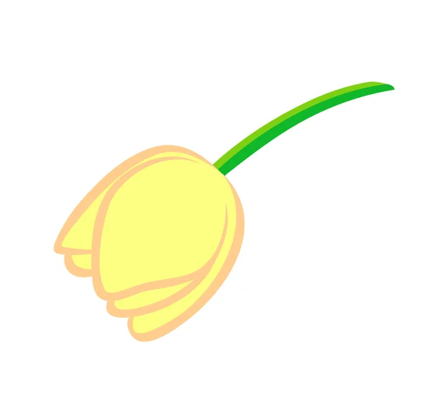 Vector Illustration Flat Cartoon Yellow Tulip Flower Isolated White Background — Stock Vector
