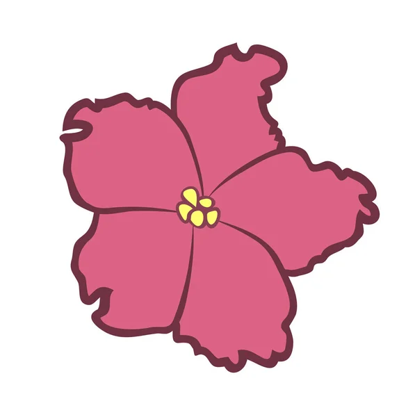 Vektorové Ilustrace Ploché Froté Růžové Saintpaulia Květiny Izolované Bílém Pozadí — Stockový vektor