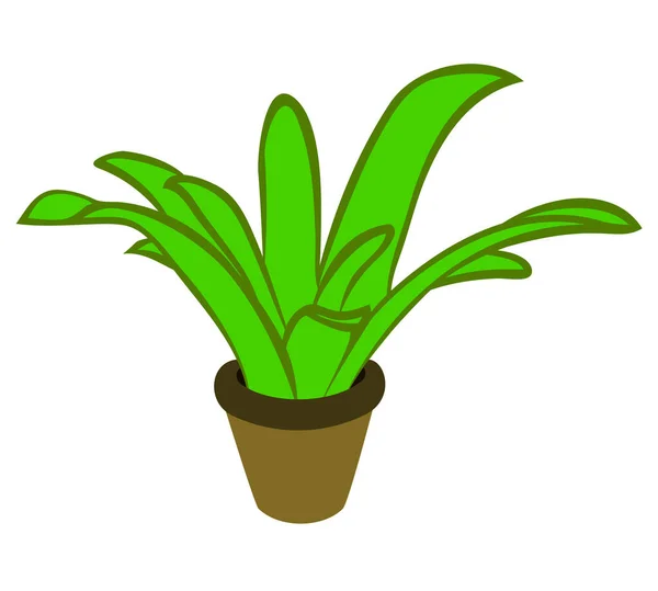 Vektor Illustration Flache Cartoon Grüne Pflanze Braunem Topf Isoliert Auf — Stockvektor