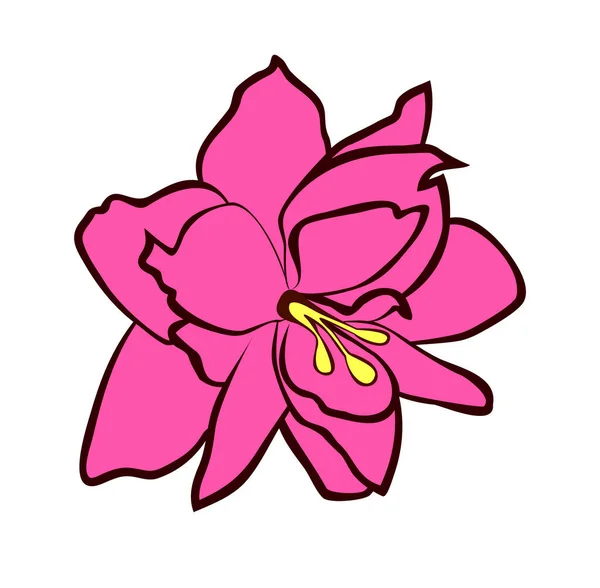 Illustration Vectorielle Fleur Amaryllis Rose Vif Plat Isolée Sur Fond — Image vectorielle