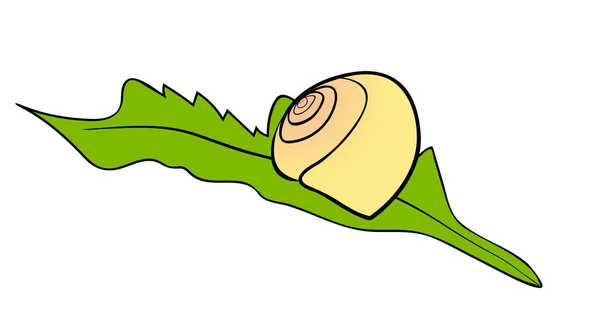 ベクトルイラスト 白い背景に隔離された緑の葉カタツムリの殻に横たわっているフラット漫画 — ストックベクタ