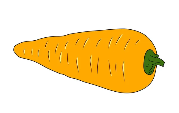 Vector Illustration Cartoon Bright Orange Carrot Green Tail Isolated White — Stock Vector