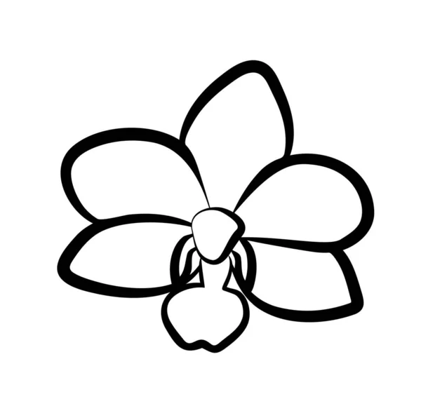 Vektor Illustration Isolierte Orchideenblume Schwarz Weißen Farben — Stockvektor