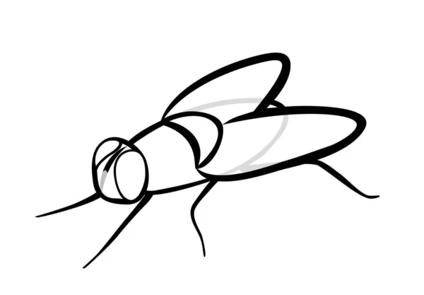 Vector Illustratie Geïsoleerde Gewone Insectenvlieg Zwart Wit Kleuren — Stockvector